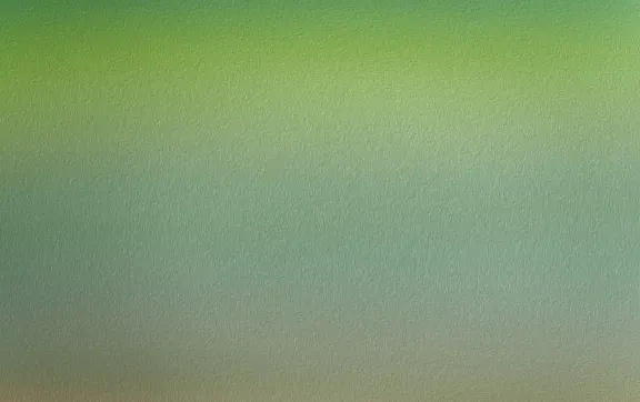 카지노 선스 오브 슬롯츠 지원